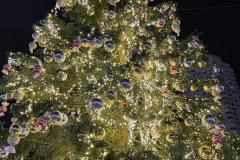 PHOTO-2022-12-12-11-05-58