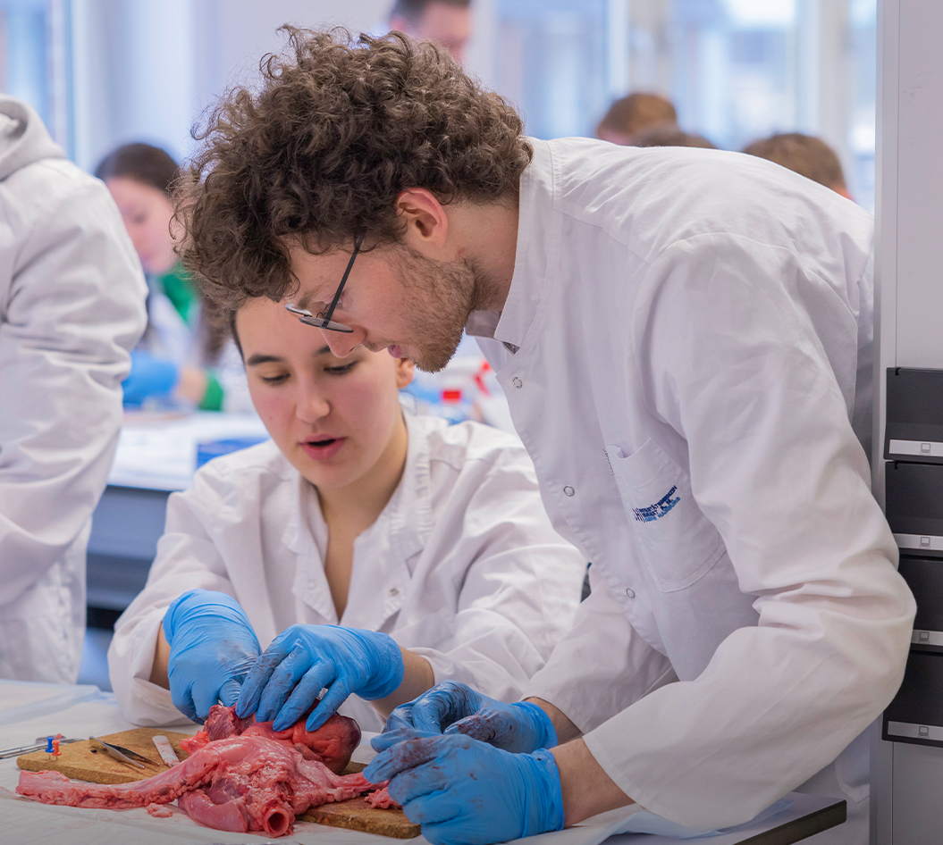 estudiantes campamento verano